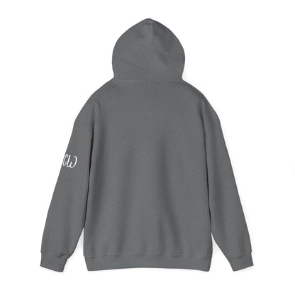 Hooded Sweatshirt Infinity Edition