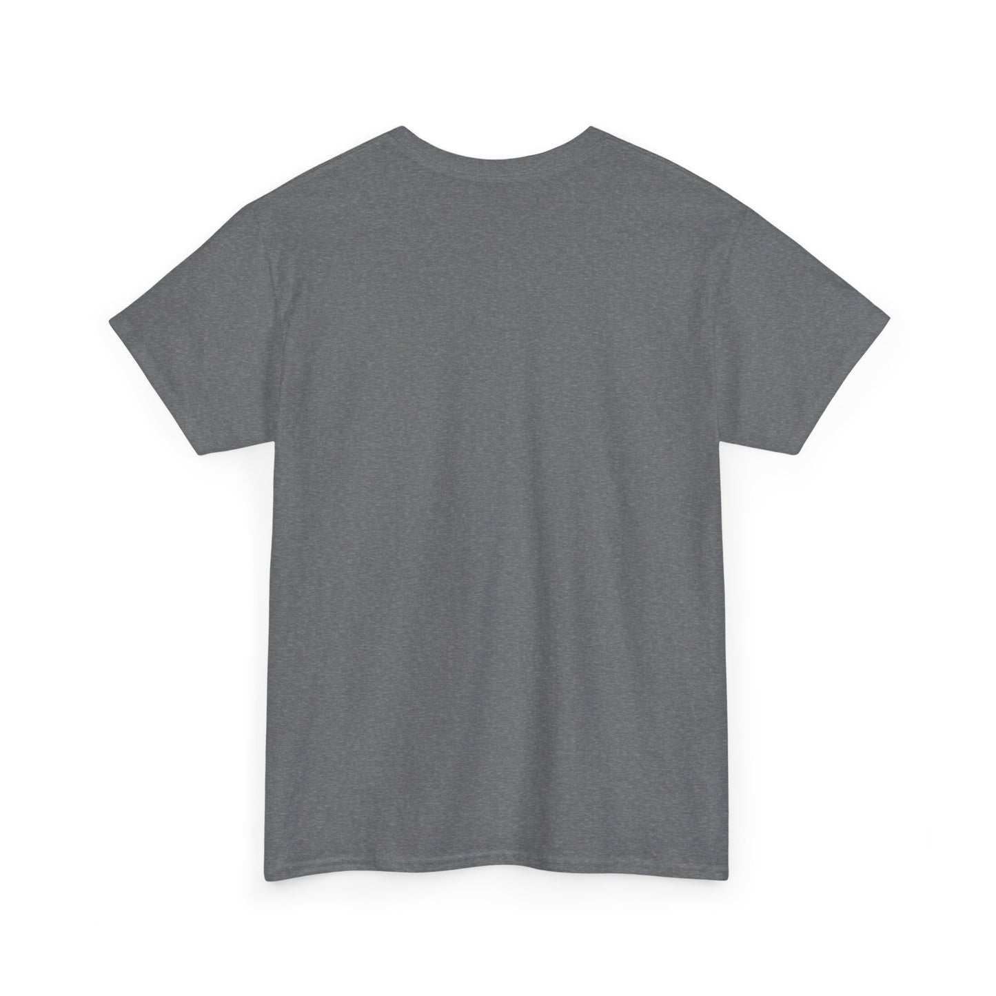 Basic Tee SCW 2024